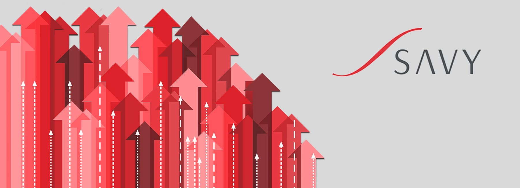Savy Banner